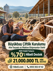 Büyükbaş Hayvancılık 21.000.000 TL  Hibeli Destek