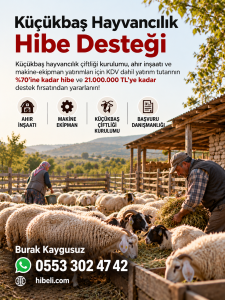 Küçükbaş Hayvancılık 21.000.000 TL  Hibeli Destek